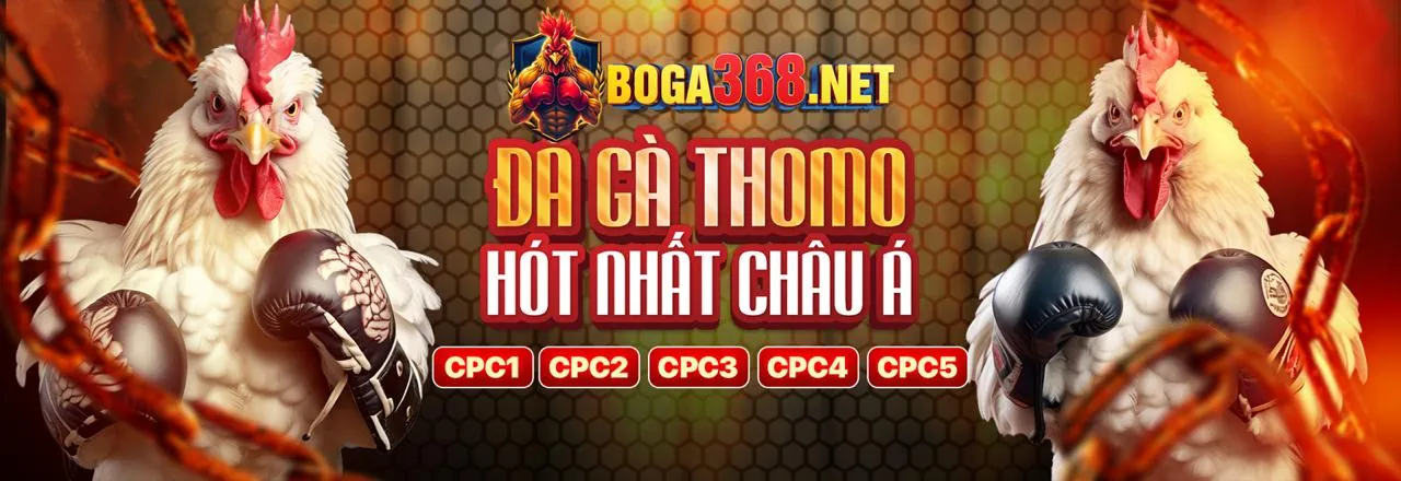 Hình ảnh chính hướng dẫn tải ứng dụng tải soi69